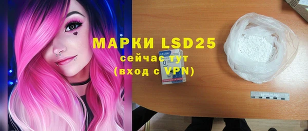 прущие грибы Баксан