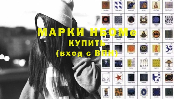 прущие грибы Баксан