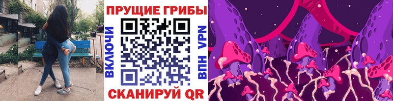 Галлюциногенные грибы Psilocybine cubensis  где можно купить наркотик  Котельниково 